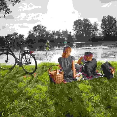 Ferienwohnung Rheinzabern - 4 Sterne Kültér fotó